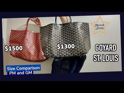 goyard taa|More.